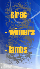 Sires