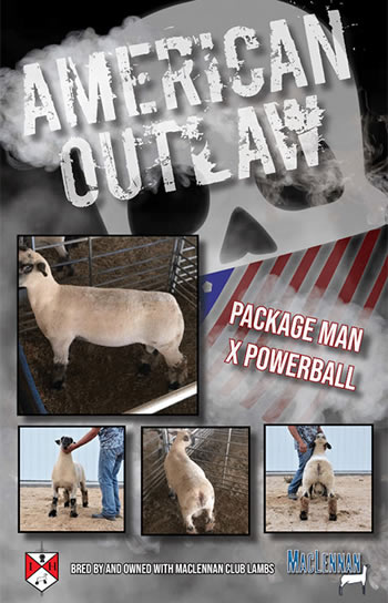 Feller Club Lambs : Sires